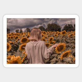 Between Sunflowers Sticker